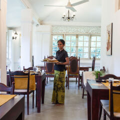 Отель Plantation Villa Ayurveda Yoga Resort гостиничный бар