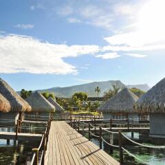 Отель Tahiti Ia Ora Beach Resort Managed By Sofitel Пунаауиа приотельная территория фото 2