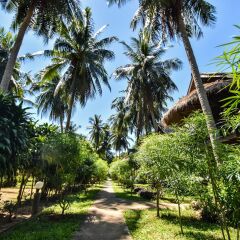 Отель Long Beach Chalet Таиланд, Ланта - отзывы, цены и фото номеров - забронировать отель Long Beach Chalet онлайн фото 11