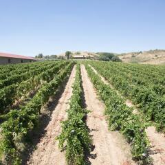 Отель Agriturismo Gigliotto Пьяцца-Армерина фото 7