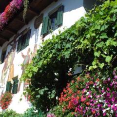 Отель Agriturismo Sittnerhof Меран фото 18