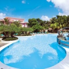 Отель Riu Playacar Плая-дель-Кармен с домашними животными