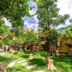 Отель Bonsai Homestay Хойан фото 19