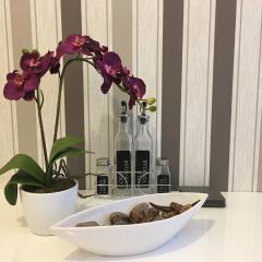 Отель United Homes Apartments Vienna Австрия, Вена - отзывы, цены и фото номеров - забронировать отель United Homes Apartments Vienna онлайн с домашними животными