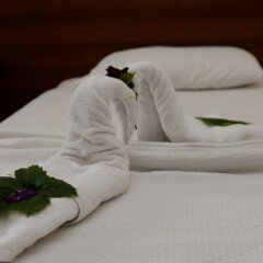 Karbel Beach Hotel в номере