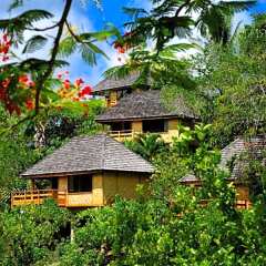 Отель Keikahanui Nuku Hiva Pearl Lodge Французская Полинезия, Нуку-Хива - отзывы, цены и фото номеров - забронировать отель Keikahanui Nuku Hiva Pearl Lodge онлайн фото 11