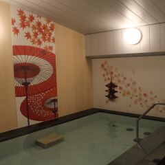Almont Hotel Kyoto бассейн