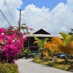 Green Garden Apartment in Christ Church, Barbados from 137$, photos, reviews - zenhotels.com photo 3
