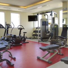 Отель Rayan Hotel Sharjah ОАЭ, Шарджа - отзывы, цены и фото номеров - забронировать отель Rayan Hotel Sharjah онлайн фитнесс-зал фото 4