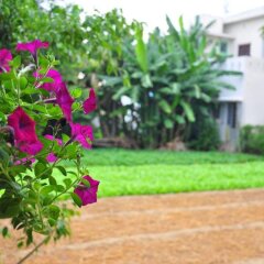 Гостевой Дом Petunia Garden Homestay фото 12