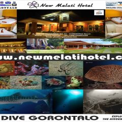 New Melati Hotel in Gorontalo, Indonesia from 53$, photos, reviews - zenhotels.com photo 10