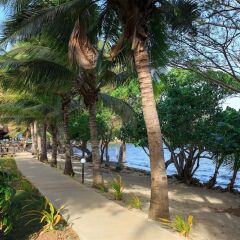 Отель Funky Fish Beach & Surf Resort Фиджи, Остров Малоло - отзывы, цены и фото номеров - забронировать отель Funky Fish Beach & Surf Resort онлайн фото 7