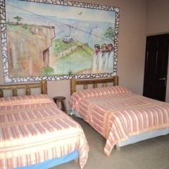 Hotel Real de Chapultepec комната для гостей фото 3