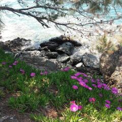 Отель House With 2 Bedrooms in Neos Marmaras, With Wonderful sea View, Enclo фото 2