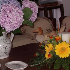Отель Albergo Le Briciole Проччио помещение для мероприятий