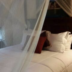 Hotel Boutique Posada Las Iguanas комната для гостей
