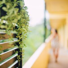 Отель Kata Silver Sand Hotel Таиланд, Пхукет - отзывы, цены и фото номеров - забронировать отель Kata Silver Sand Hotel онлайн фото 5