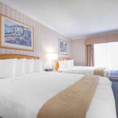 Отель Quality Inn Downtown Inner Harbour Канада, Виктория - отзывы, цены и фото номеров - забронировать отель Quality Inn Downtown Inner Harbour онлайн комната для гостей фото 5
