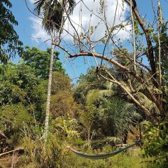 Slacklines Hostel