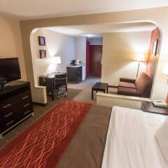 Comfort Inn Pittsburgh in Pittsburgh, United States of America from 131$, photos, reviews - zenhotels.com guestroom