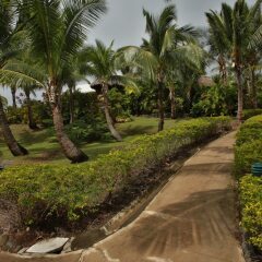Отель Wananavu Beach Resort фото 14