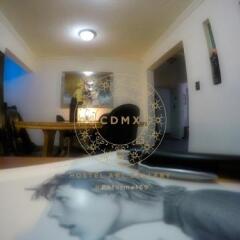 Отель CDMX Hostel Art Gallery Мексика, Мехико - отзывы, цены и фото номеров - забронировать отель CDMX Hostel Art Gallery онлайн бассейн
