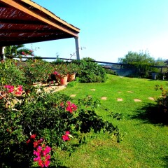 Отель Agriturismo Comino Alto Синискола фото 27