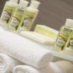 Отель Holiday Inn Express Quebec City - Sainte Foy Канада, Квебек - отзывы, цены и фото номеров - забронировать отель Holiday Inn Express Quebec City - Sainte Foy онлайн ванная