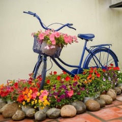 Отель Bonjour Homestay Далат интерьер отеля