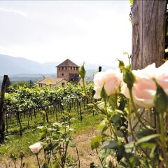 Schloss Hotel Korb Аппиано-сулла-Страда-дель-Вино