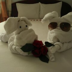 Hue Valentine Hotel удобства в номере фото 2