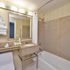 Отель Holiday Inn LaGuardia Airport США, Нью-Йорк - отзывы, цены и фото номеров - забронировать отель Holiday Inn LaGuardia Airport онлайн ванная