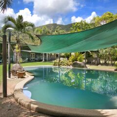 Отель Daintree Wild Zoo & Bed and Breakfast бассейн