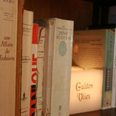 Hotel Gulden Vlies развлечения