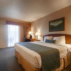 Отель Best Western Buffalo Ridge Inn комната для гостей