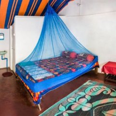 Отель Arambolicious Индия, Северный Гоа - отзывы, цены и фото номеров - забронировать отель Arambolicious онлайн фото 2