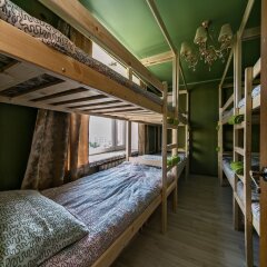 Гостиница Crazy Monkey Hostel Next To the Moscow Zoo в Москве 4 отзыва об отеле, цены и фото номеров - забронировать гостиницу Crazy Monkey Hostel Next To the Moscow Zoo онлайн Москва комната для гостей