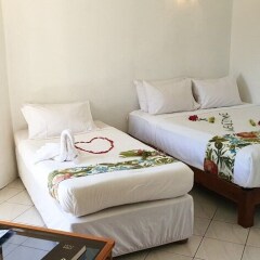 Отель Island Accommodation Nadi Фиджи, Вити-Леву - отзывы, цены и фото номеров - забронировать отель Island Accommodation Nadi онлайн комната для гостей фото 4