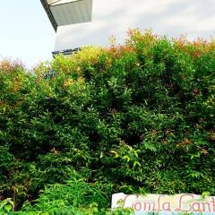 Lom La Lanta Hotel Ланта фото 6