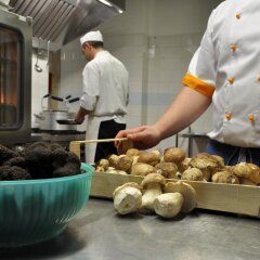 Отель Locanda Degli Ulivi Италия, Аркуньано - отзывы, цены и фото номеров - забронировать отель Locanda Degli Ulivi онлайн спа