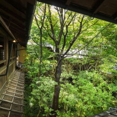 Отель Kurokawa Onsen Oyado Noshiyu Япония, Минамиогуни - отзывы, цены и фото номеров - забронировать отель Kurokawa Onsen Oyado Noshiyu онлайн балкон