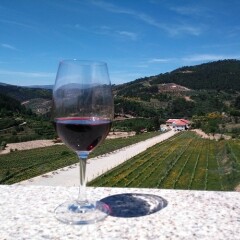 Отель Douro Cister Hotel Resort Rural & Spa Португалия, Байао - отзывы, цены и фото номеров - забронировать отель Douro Cister Hotel Resort Rural & Spa онлайн фото 4
