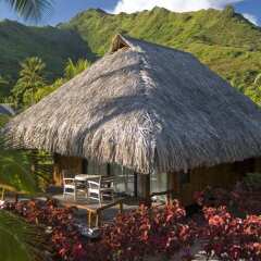 Отель Hilton Moorea Lagoon Resort and Spa фото 7