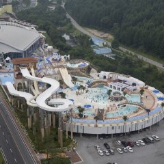 Отель Phoenix Pyeongchang Hotel Южная Корея, Пхёнчан - отзывы, цены и фото номеров - забронировать отель Phoenix Pyeongchang Hotel онлайн фото 6