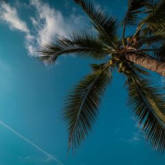 Отель Mercure Pattaya пляж фото 2