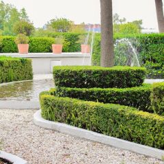 Отель Camino Real Polanco Мехико