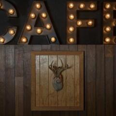 Отель CDMX Hostel Art Gallery Мексика, Мехико - отзывы, цены и фото номеров - забронировать отель CDMX Hostel Art Gallery онлайн фитнесс-зал