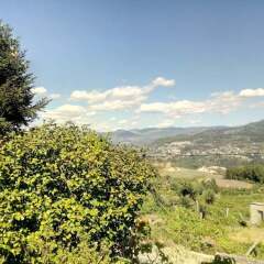 Отель House With 3 Bedrooms in Amarante, With Wonderful Mountain View, Furnished Terrace and Wifi Португалия, Амаранте - отзывы, цены и фото номеров - забронировать отель House With 3 Bedrooms in Amarante, With Wonderful Mountain View, Furnished Terrace and Wifi онлайн фото 29