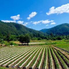 Отель Wongwan Farm