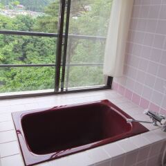 Отель Kinugawa Park Hotels Park Cottage Никко ванная фото 2